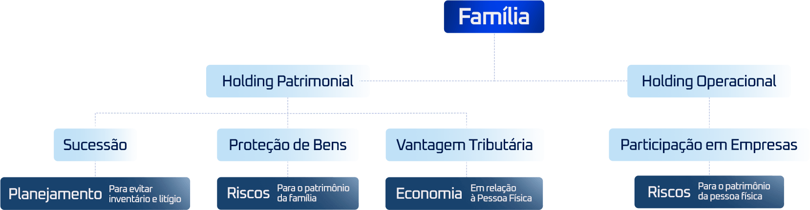 estrutura_holding_solutta